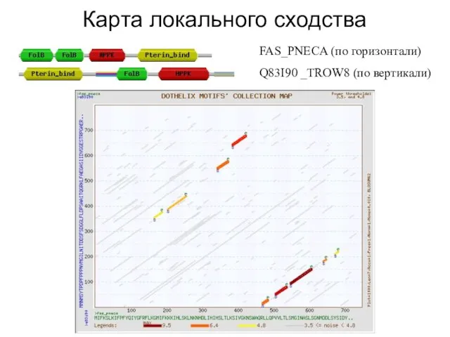 Карта локального сходства FAS_PNECA (по горизонтали) Q83I90 _TROW8 (по вертикали)