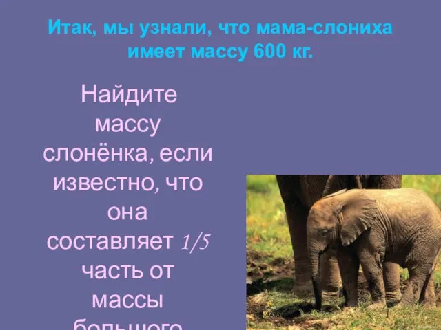 Итак, мы узнали, что мама-слониха имеет массу 600 кг. Найдите массу слонёнка,