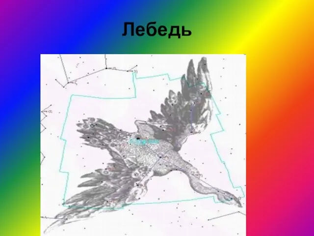 Лебедь