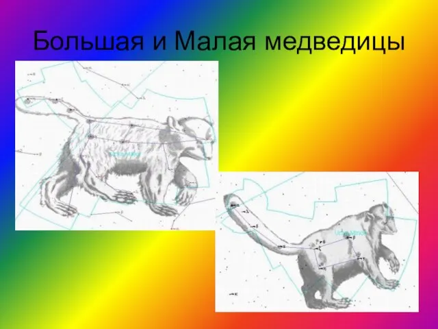 Большая и Малая медведицы