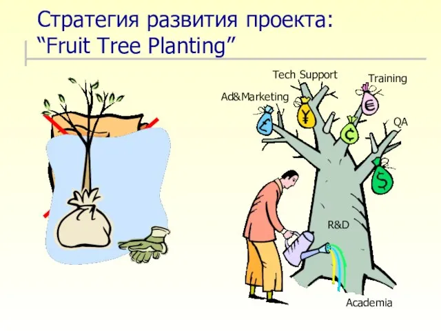 Стратегия развития проекта: “Fruit Tree Planting” Academia R&D QA Ad&Marketing Tech Support Training