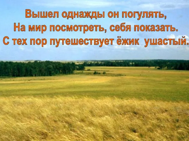 Вышел однажды он погулять, На мир посмотреть, себя показать. С тех пор путешествует ёжик ушастый.