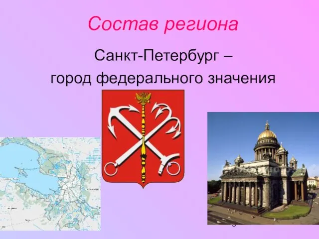 Состав региона Санкт-Петербург – город федерального значения