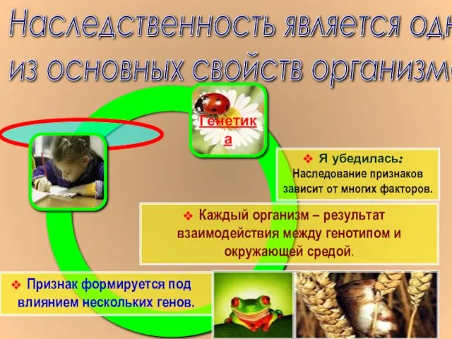 Наследственность является одним из основных свойств организмов