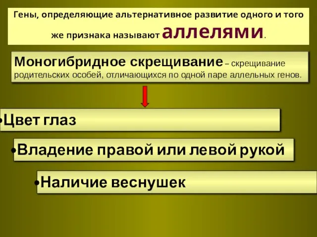 Гены, определяющие альтернативное развитие одного и того же признака называют аллелями. Моногибридное