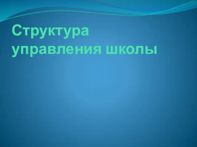 Структура управления школы