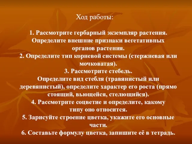 Ход работы: 1. Рассмотрите гербарный экземпляр растения. Определите внешние признаки вегетативных органов