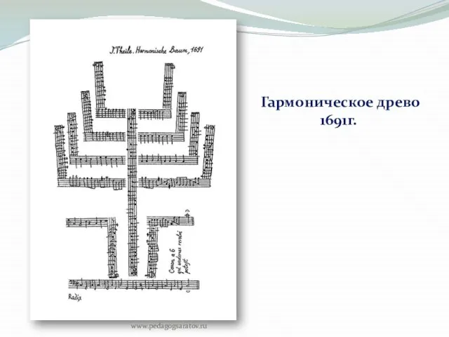 Гармоническое древо 1691г. www.pedagogsaratov.ru