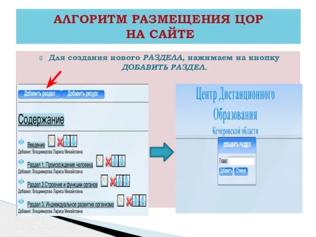 Для создания нового РАЗДЕЛА, нажимаем на кнопку ДОБАВИТЬ РАЗДЕЛ. АЛГОРИТМ РАЗМЕЩЕНИЯ ЦОР НА САЙТЕ