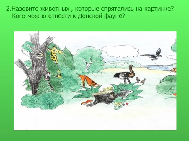 2.Назовите животных , которые спрятались на картинке? Кого можно отнести к Донской фауне?