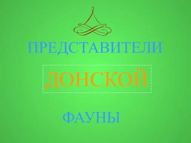 ПРЕДСТАВИТЕЛИ ДОНСКОЙ ФАУНЫ