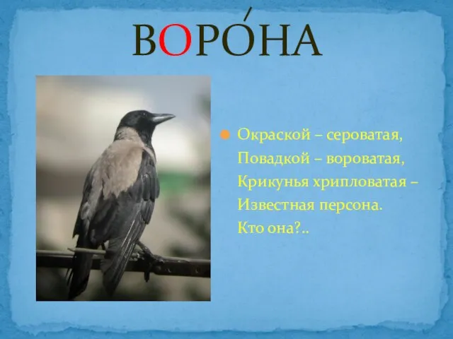 ВОРОНА Окраской – сероватая, Повадкой – вороватая, Крикунья хрипловатая – Известная персона. Кто она?..