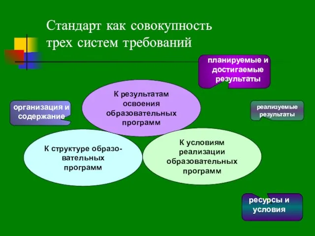 организация и содержание планируемые и достигаемые результаты ресурсы и условия реализуемые результаты