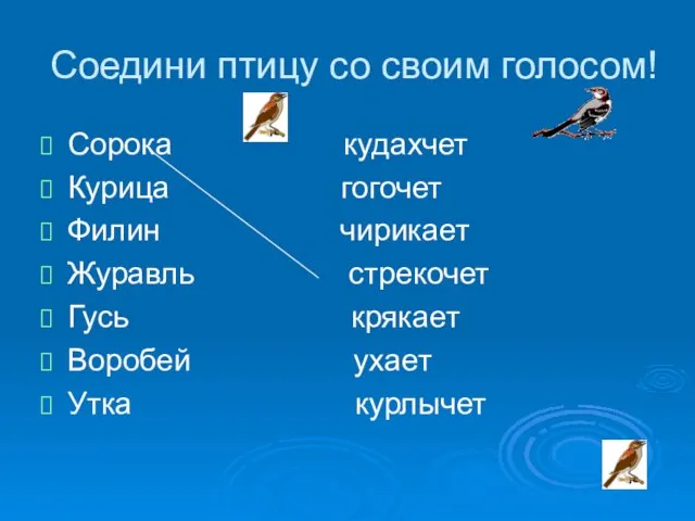 Соедини птицу со своим голосом! Сорока кудахчет Курица гогочет Филин чирикает Журавль