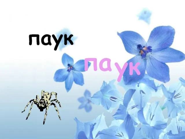 паук па ук