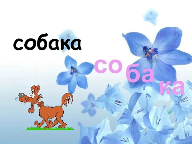 собака со ба ка