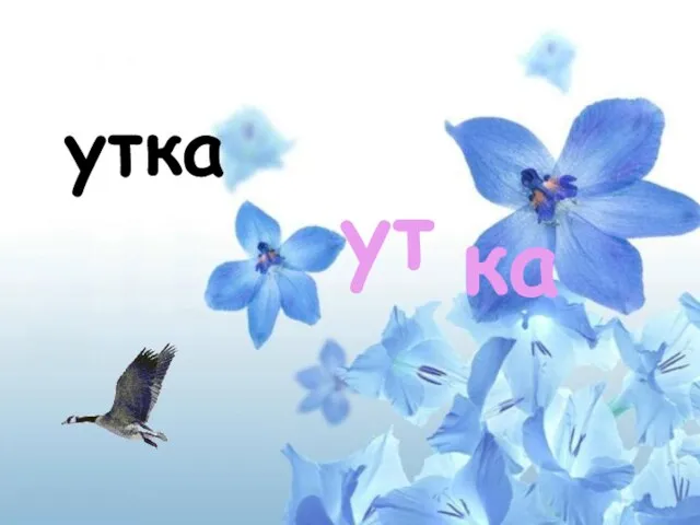 утка ут ка