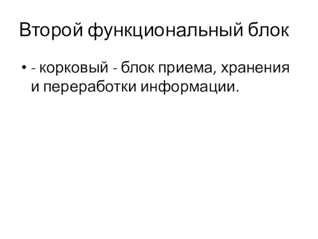 Второй функциональный блок - корковый - блок приема, хранения и переработки информации.