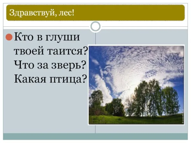 Кто в глуши твоей таится? Что за зверь? Какая птица?