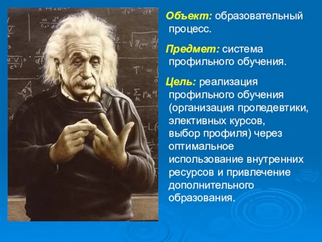 Объект: образовательный процесс. Предмет: система профильного обучения. Цель: реализация профильного обучения (организация