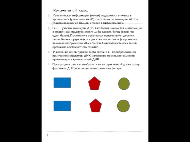 Консультант. 11 класс. Генетическая информация (геном) содержится в клетке в хромосомах (у