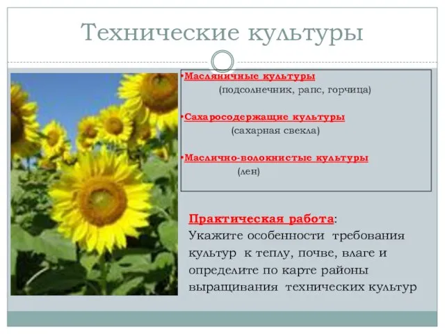 Технические культуры Практическая работа: Укажите особенности требования культур к теплу, почве, влаге