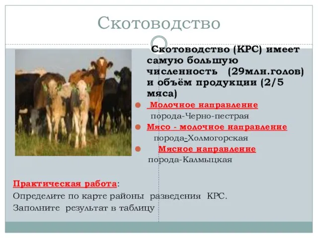 Скотоводство Скотоводство (КРС) имеет самую большую численность (29млн.голов) и объём продукции (2/5