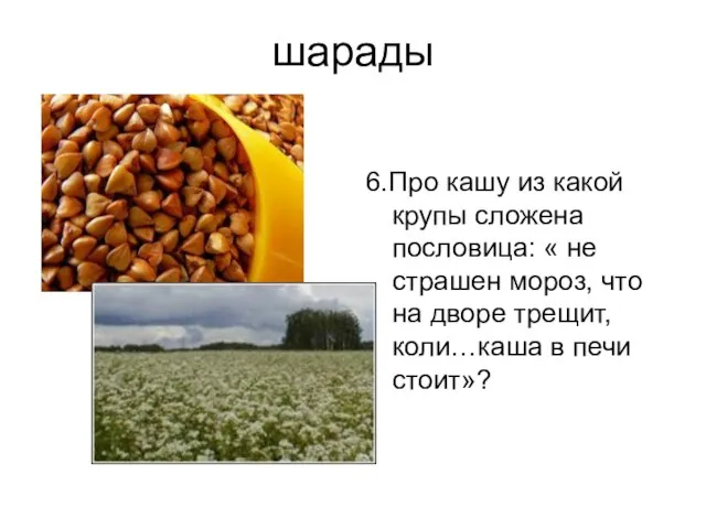 шарады 6.Про кашу из какой крупы сложена пословица: « не страшен мороз,