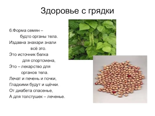 Здоровье с грядки 6.Форма семян – будто органы тела. Издавна знахари знали