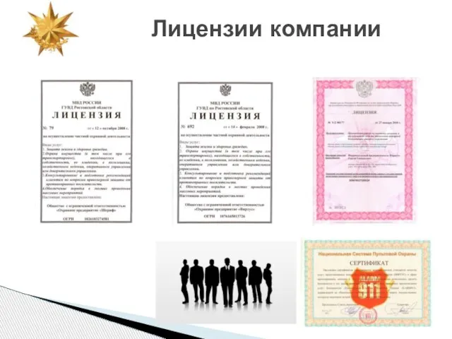 Лицензии компании