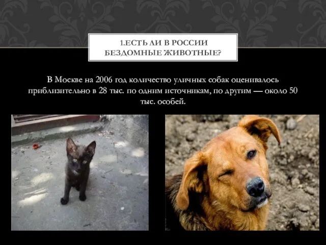 В Москве на 2006 год количество уличных собак оценивалось приблизительно в 28