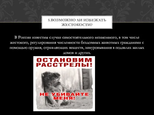 В России известны случаи самостоятельного незаконного, в том числе жестокого, регулирования численности