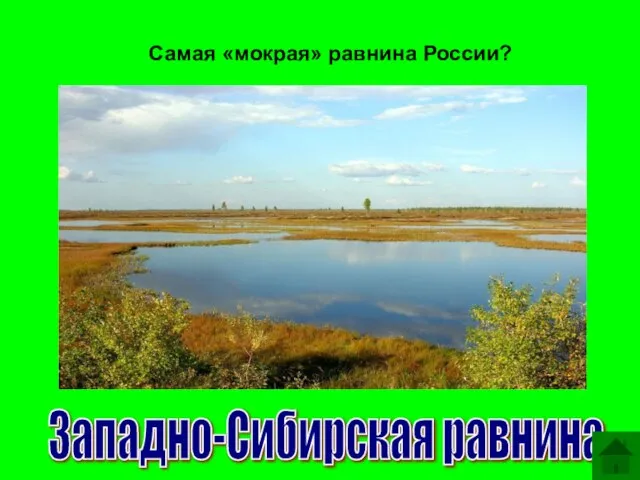 Самая «мокрая» равнина России? Западно-Сибирская равнина