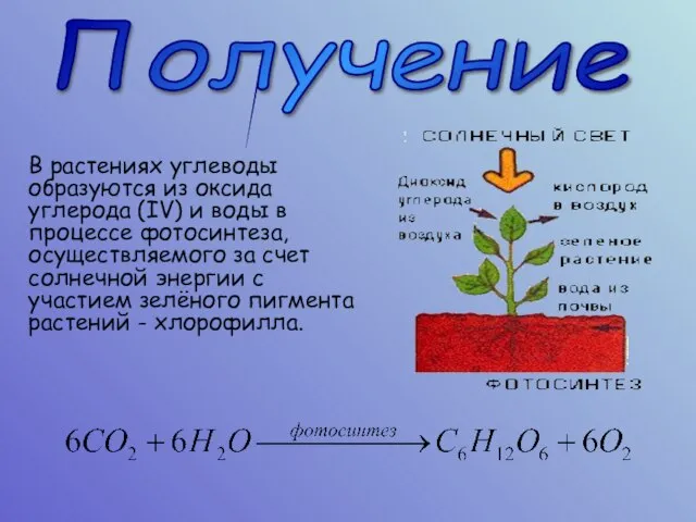 Получение В растениях углеводы образуются из оксида углерода (IV) и воды в