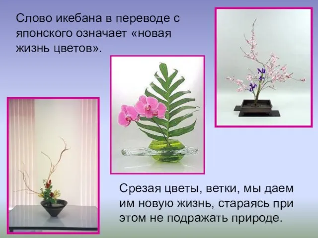 Слово икебана в переводе с японского означает «новая жизнь цветов». Срезая цветы,