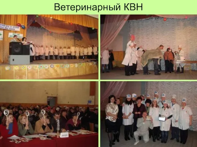 Ветеринарный КВН