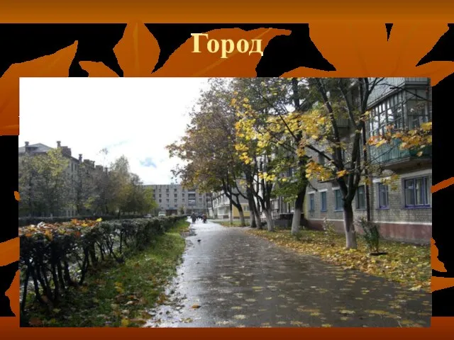 Город