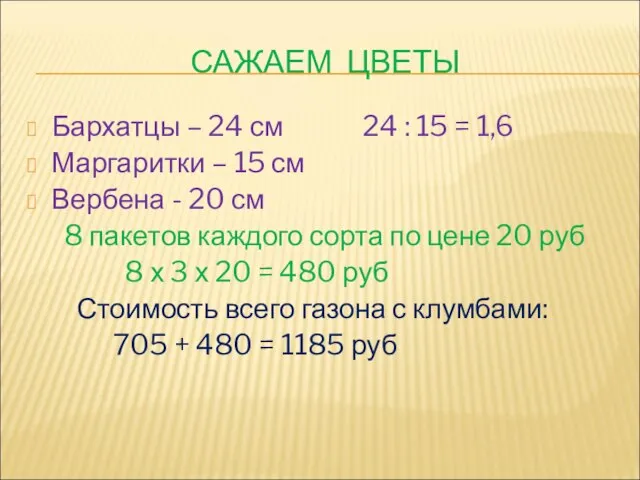 САЖАЕМ ЦВЕТЫ Бархатцы – 24 см 24 : 15 = 1,6 Маргаритки