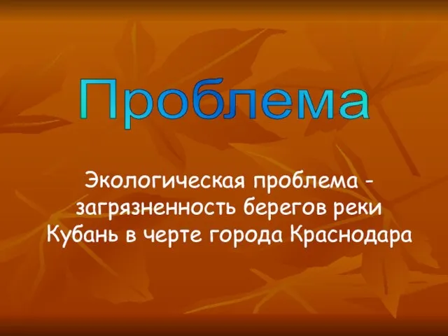 Экологическая проблема - загрязненность берегов реки Кубань в черте города Краснодара Проблема