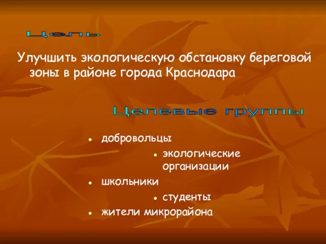 Улучшить экологическую обстановку береговой зоны в районе города Краснодара добровольцы экологические организации