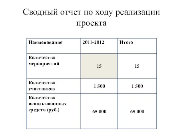 Сводный отчет по ходу реализации проекта