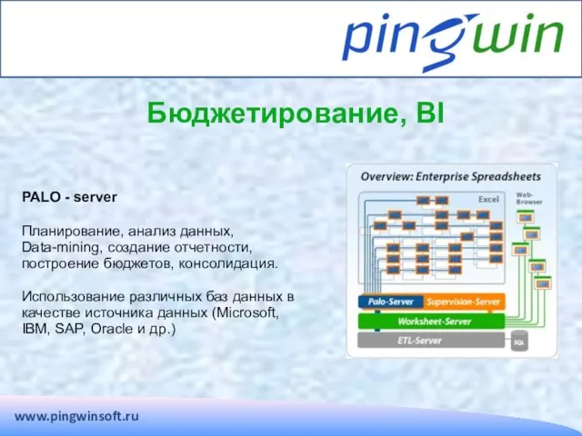 www.pingwinsoft.ru Бюджетирование, BI PALO - server Планирование, анализ данных, Data-mining, создание отчетности,