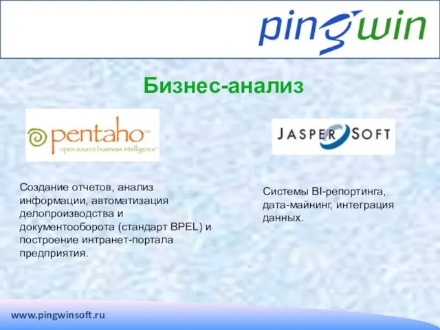 www.pingwinsoft.ru Бизнес-анализ Создание отчетов, анализ информации, автоматизация делопроизводства и документооборота (стандарт BPEL)