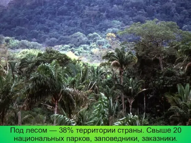 Под лесом — 38% территории страны. Свыше 20 национальных парков, заповедники, заказники.