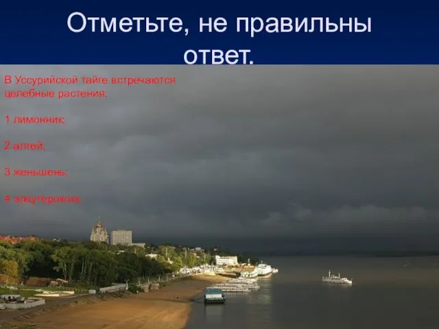 Отметьте, не правильны ответ. В Уссурийской тайге встречаются целебные растения: 1 лимонник;