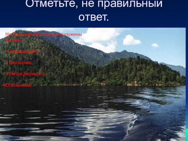 Отметьте, не правильный ответ. На Дальнем Востоке расположены заливы: 1 Анадырский; 2