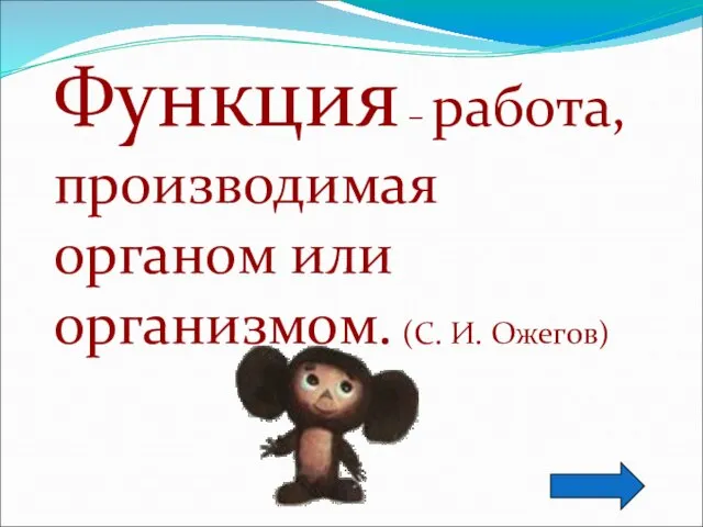 Функция – работа,производимая органом или организмом. (С. И. Ожегов)