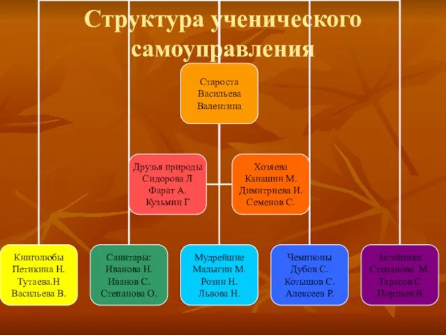 Структура ученического самоуправления