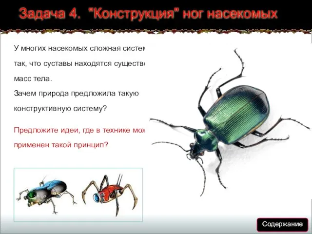 Задача 4. "Конструкция" ног насекомых У многих насекомых сложная система ног устроена