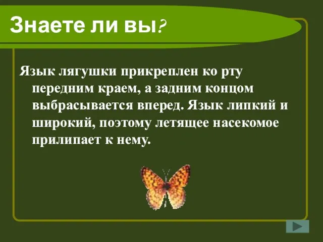 Знаете ли вы? Язык лягушки прикреплен ко рту передним краем, а задним